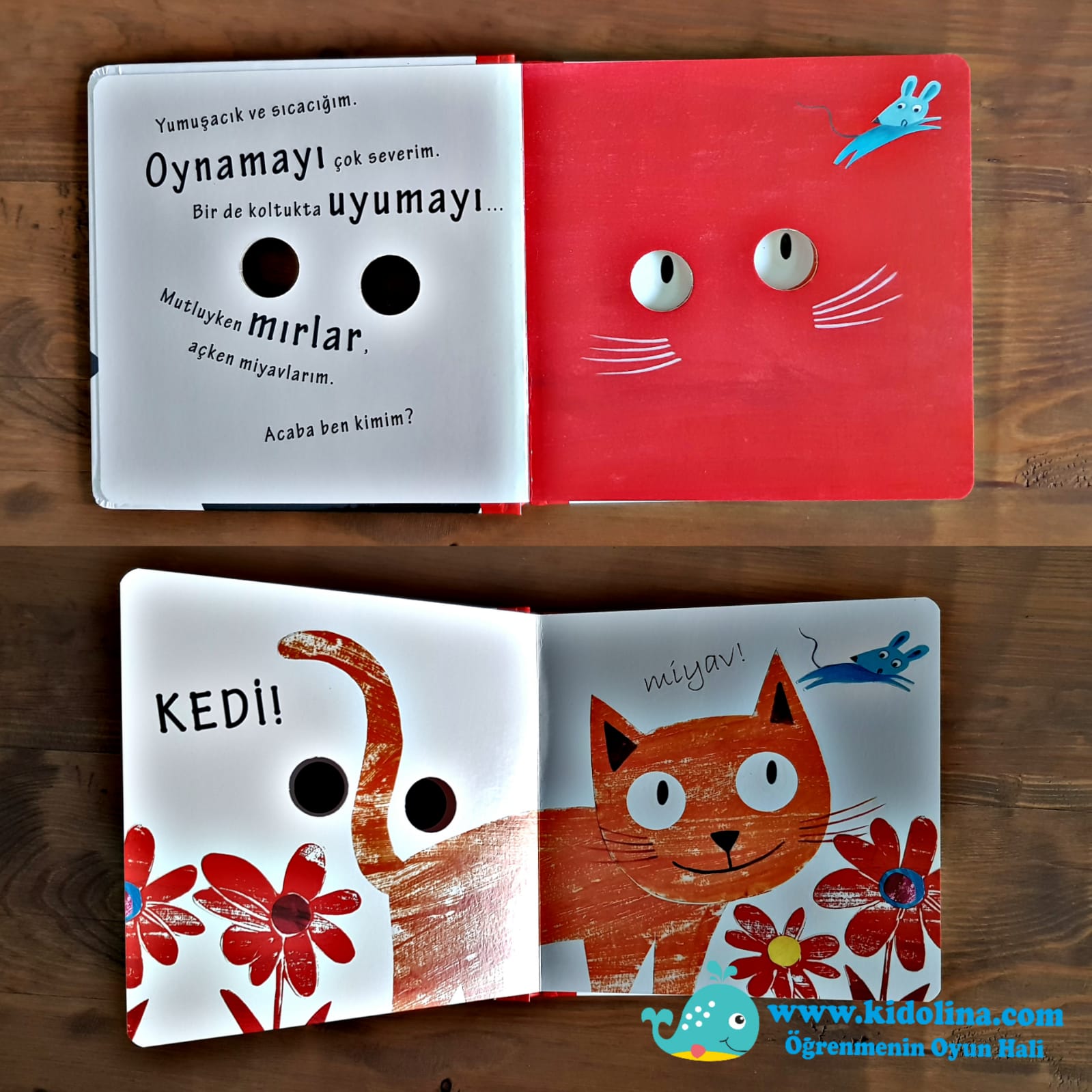 Potikare Yayinlari Ce Ee Ben Kimim Serisi Bu Kimin Gozu Kidolina