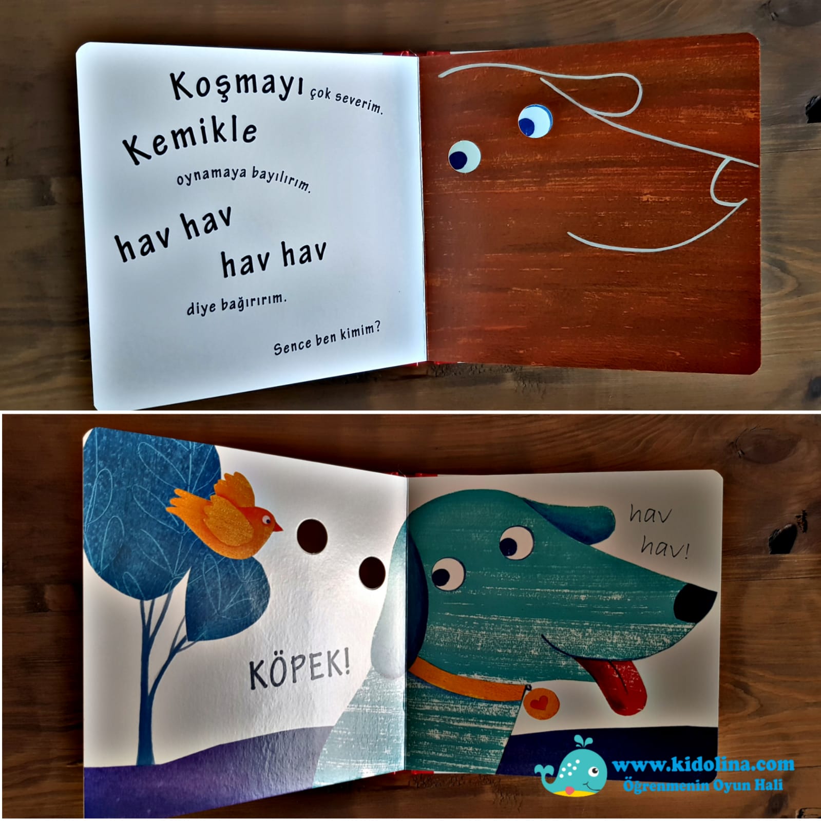 Potikare Yayinlari Ce Ee Ben Kimim Serisi Bu Kimin Sesi Kidolina