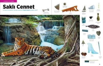 HighLights Photo Puzzle Mania