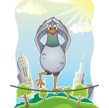 Sturdy Birdy Fat Brain Toys