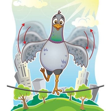 Sturdy Birdy Fat Brain Toys