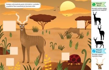 Dikkat Atölyesi Doğal Yaşamda Safari