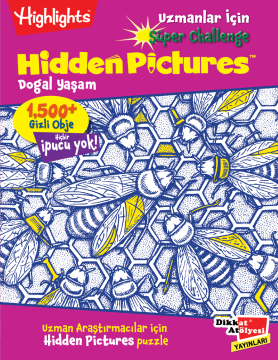 HighLights Super Challenge Hidden Pictures Uzmanlar İçin